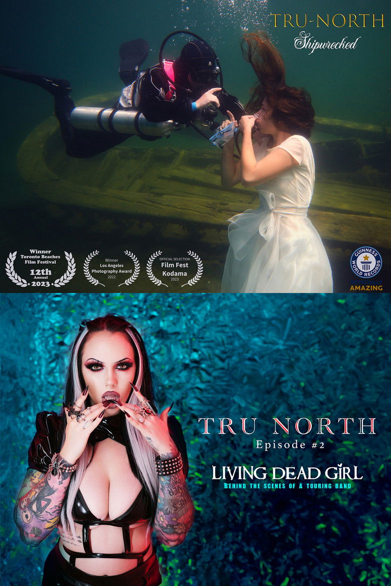 Tru North poster background