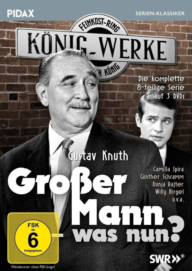Großer Mann, was nun? poster background