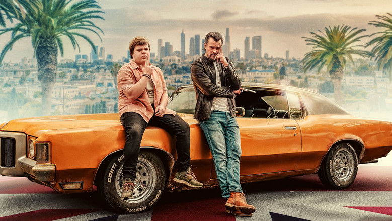 The California sun highlighting a hit gone wrong