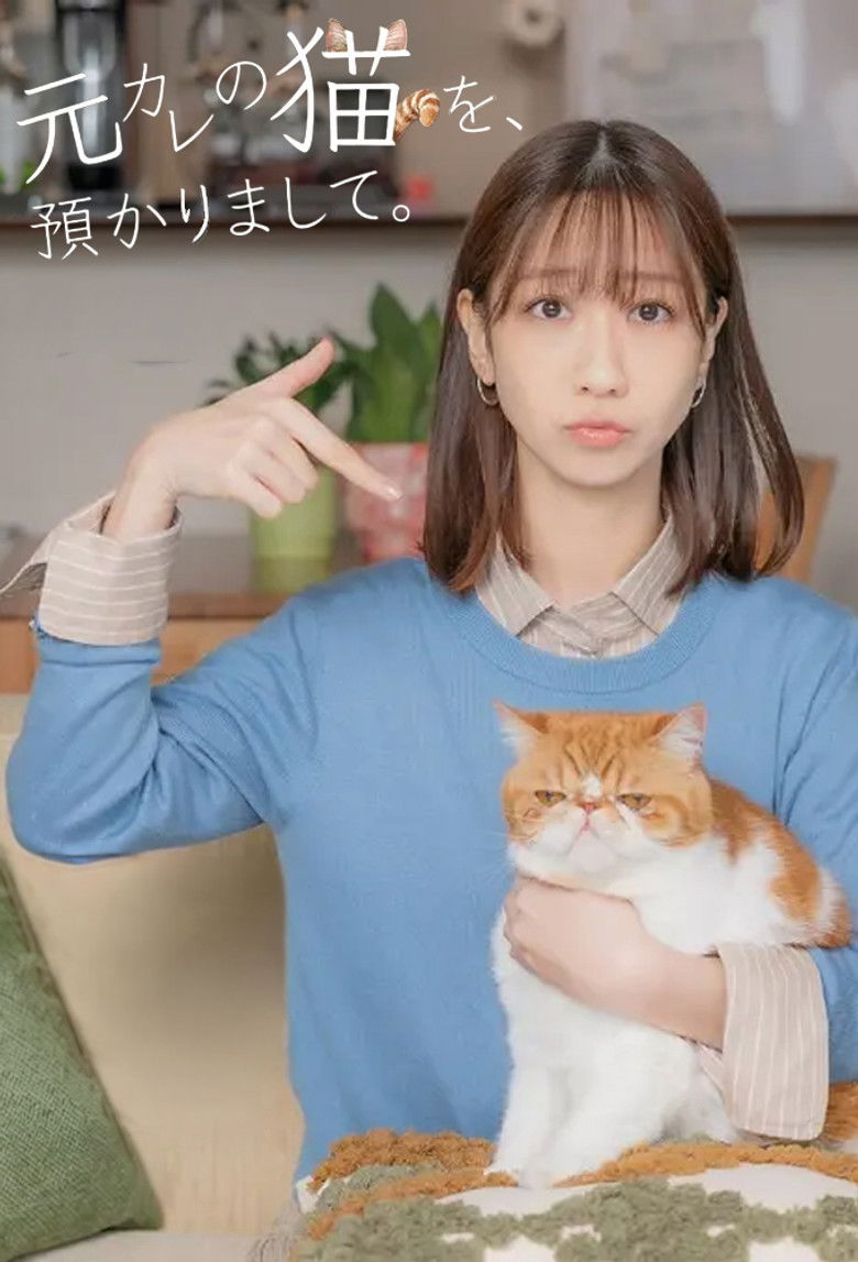 I’m Taking Care of My Ex’s Cat. poster background