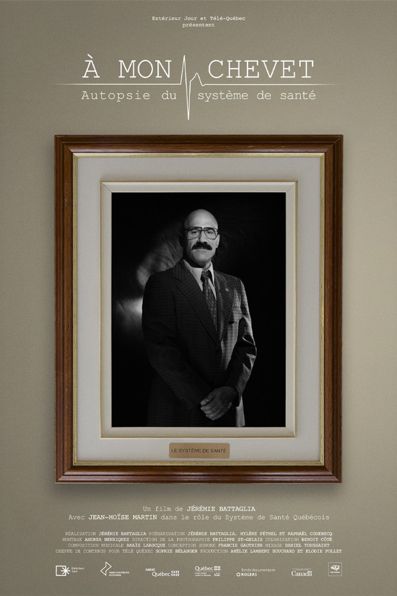 At my bedside: an autopsy of the healthcare system poster background