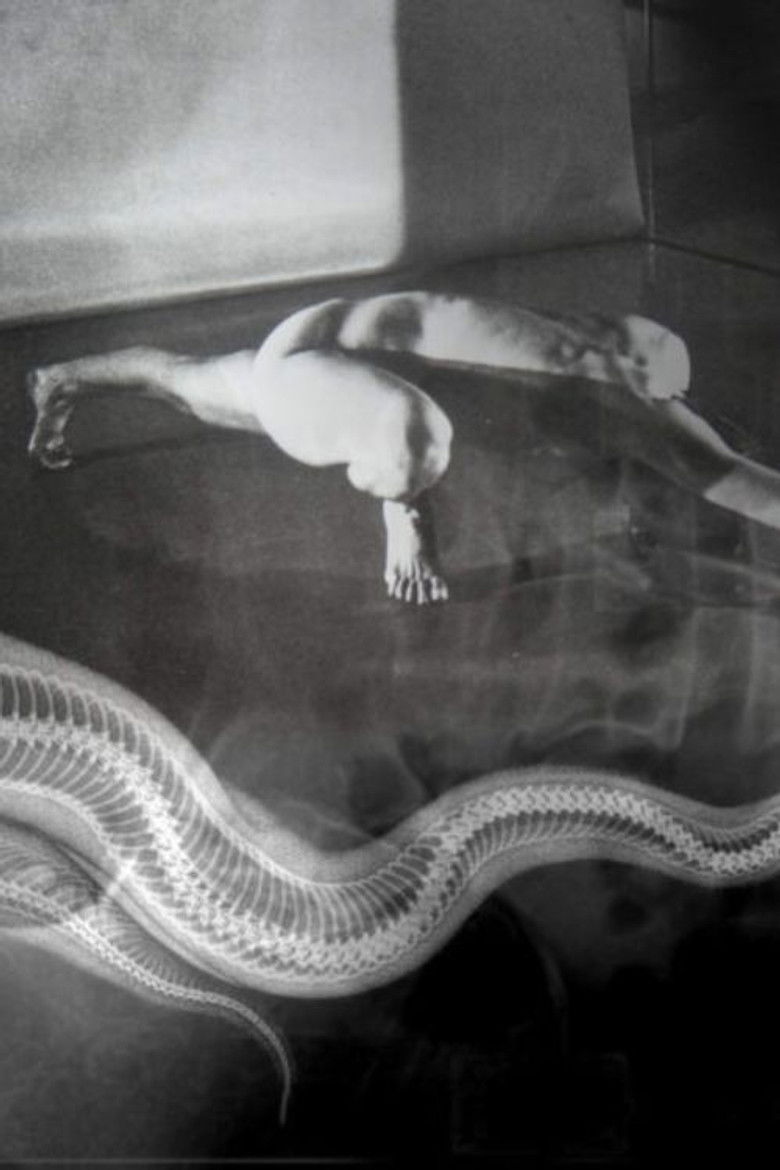 Transparent poster background