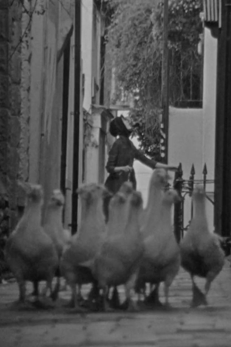 The Gooseherd poster background