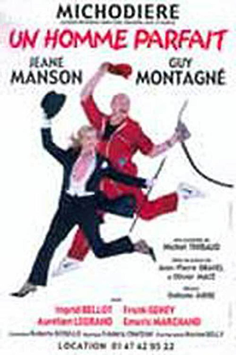 Un homme parfait poster background