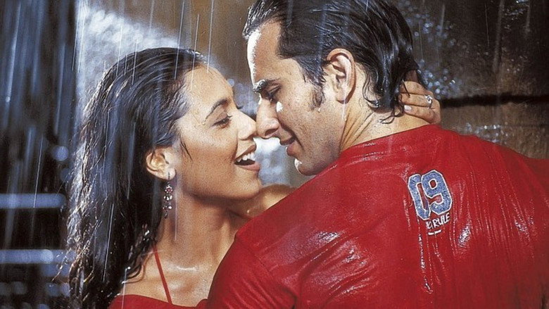 A moment of quiet connection between the leads, their expressions softening as the world around them blurs