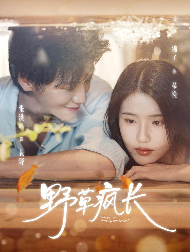 野草疯长 poster background