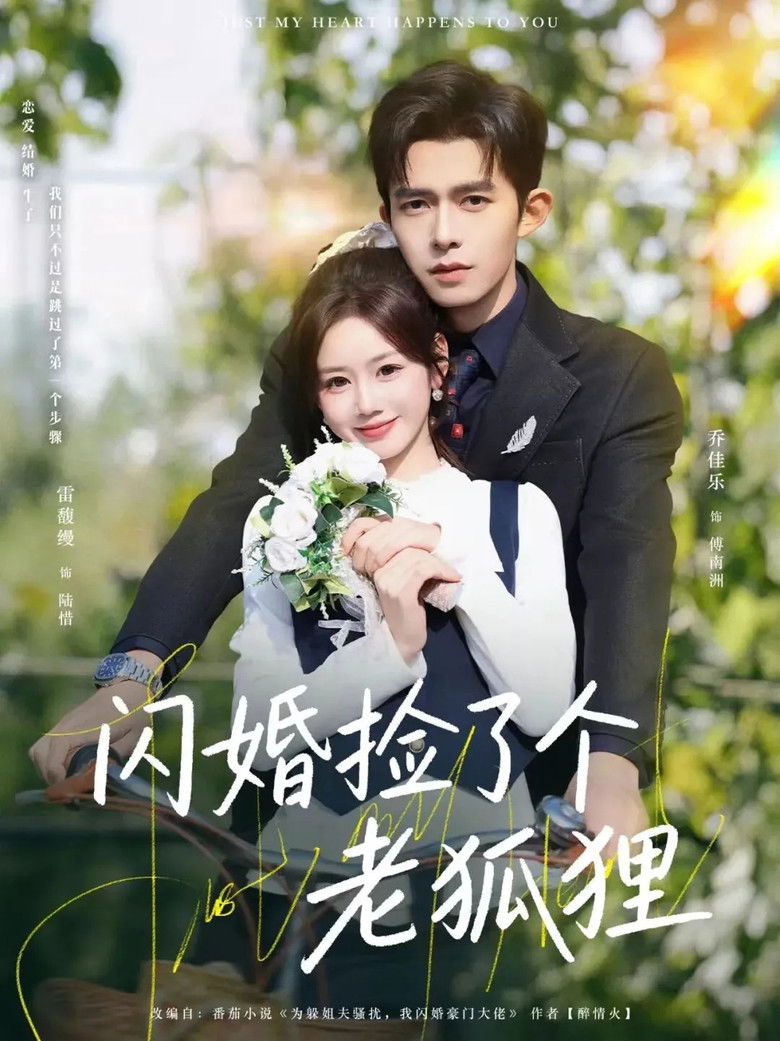 閃婚撿了個老狐狸 poster background