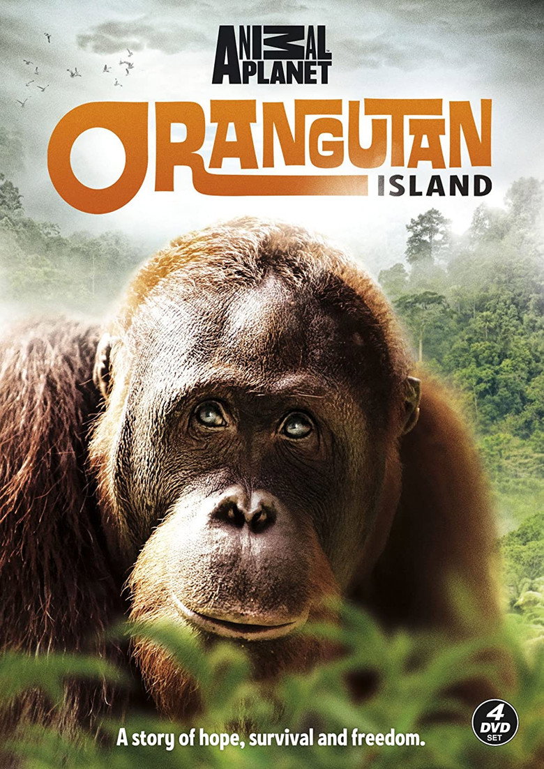 Orangutan Island poster background