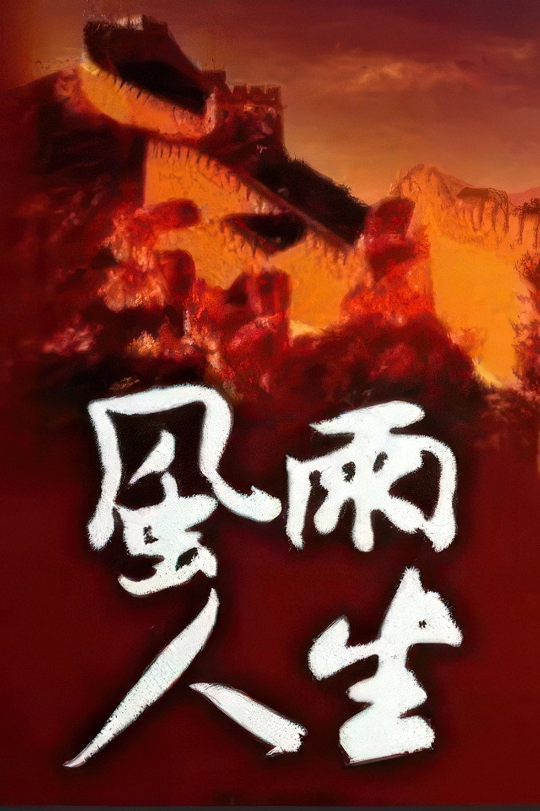 风雨人生 poster background