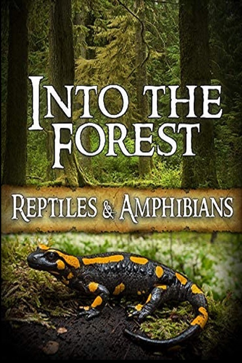 Into the Forest: Reptiles & Amphibians poster background