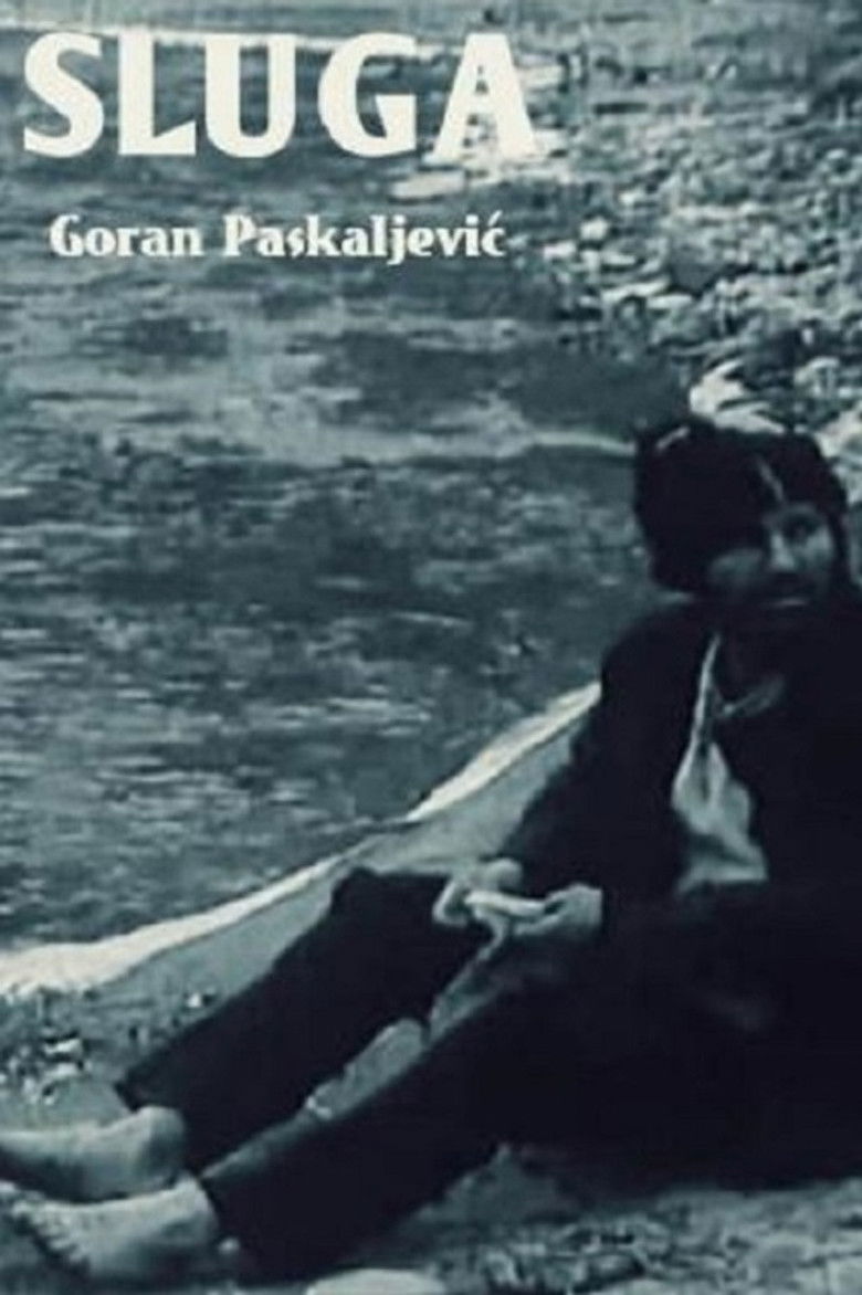 The Servant poster background