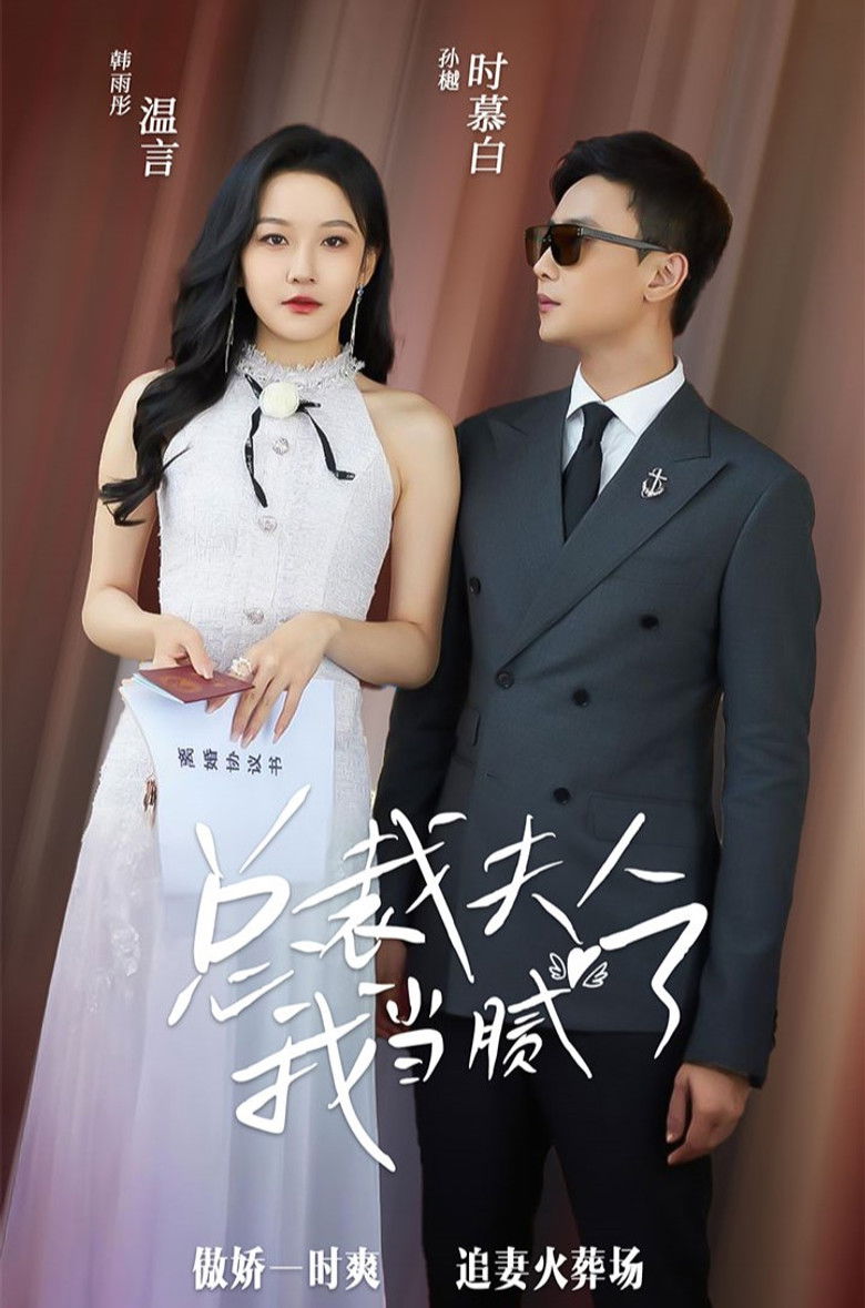 总裁夫人我当腻了 poster background