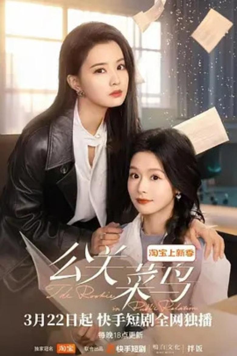 The Rookie in Public Relation poster background