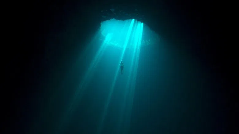 A freediver descends into the blue void, their body a small silhouette against the vast, sunlit water above.