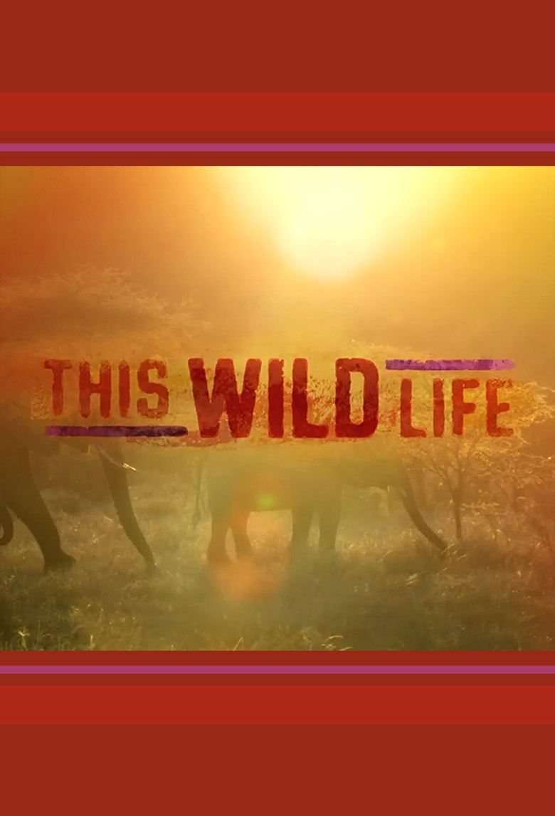 This Wild Life poster background