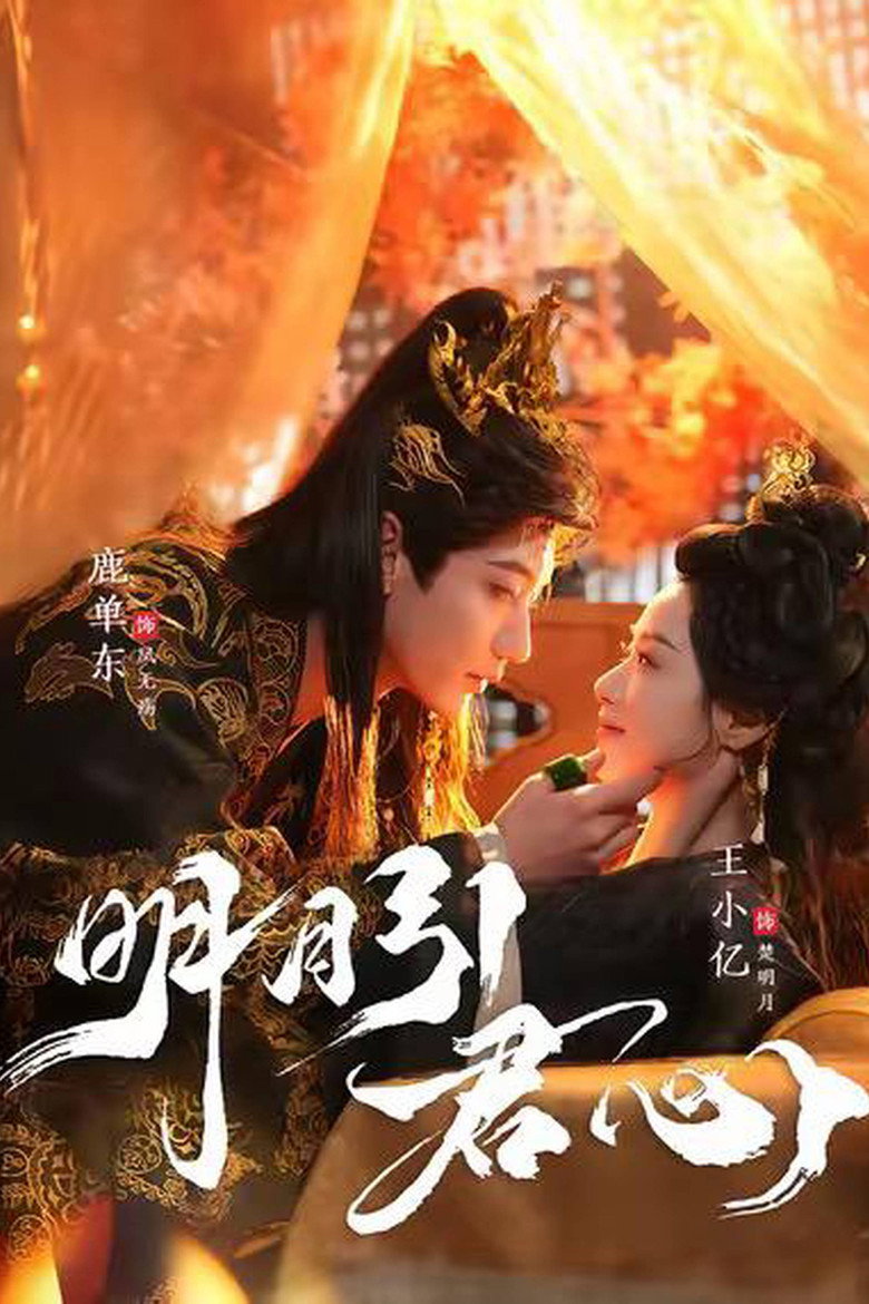 明月引君心 poster background