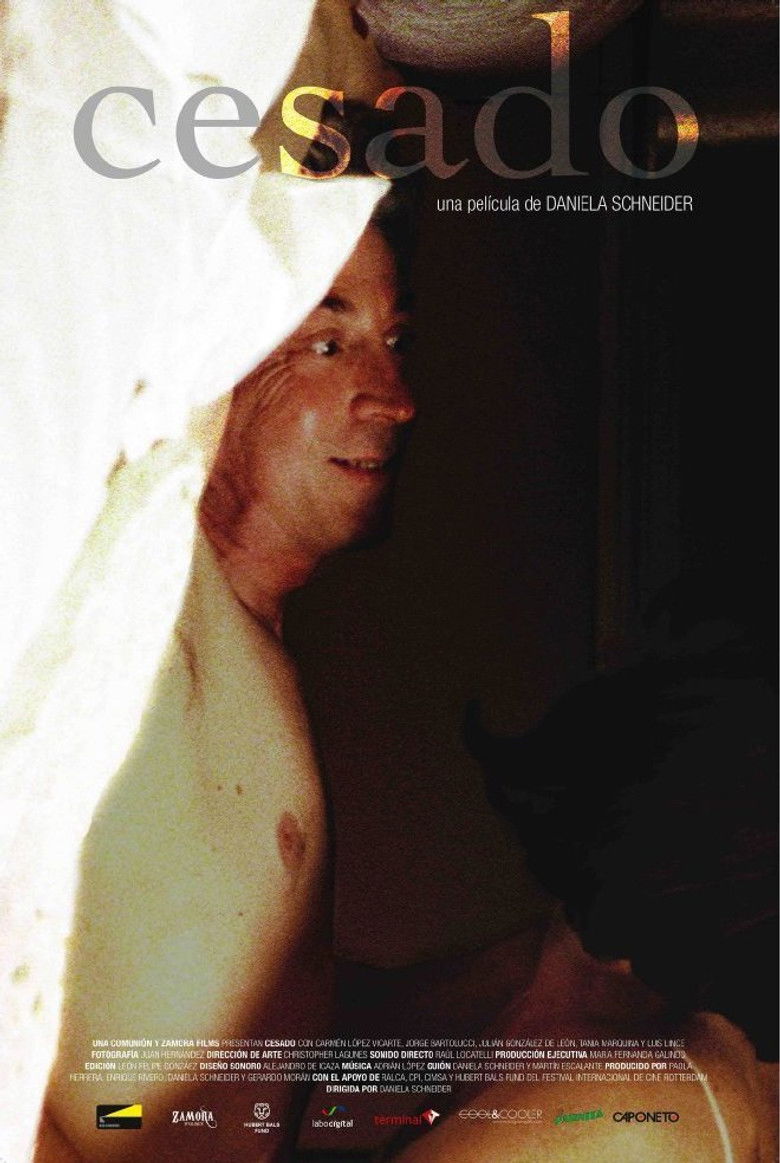 Cesado poster background