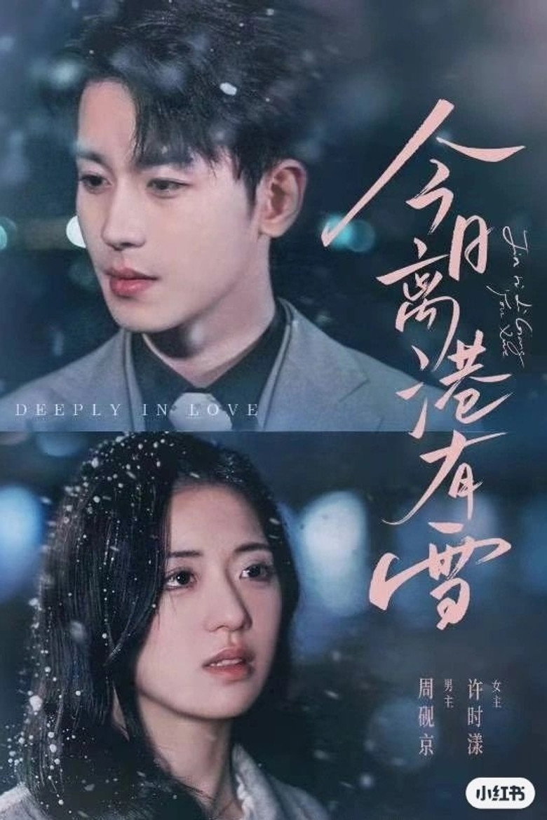 今日离港有雪 poster background