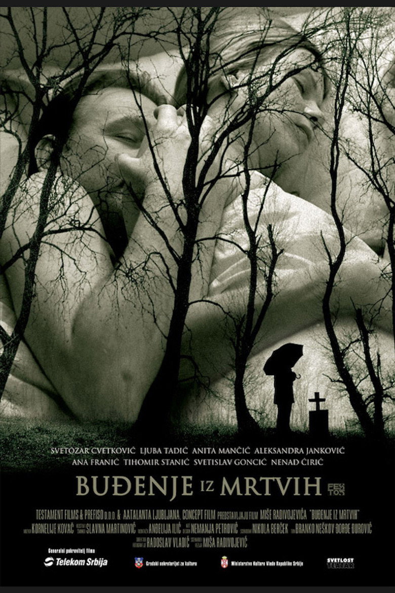 Awakening from the Dead poster background