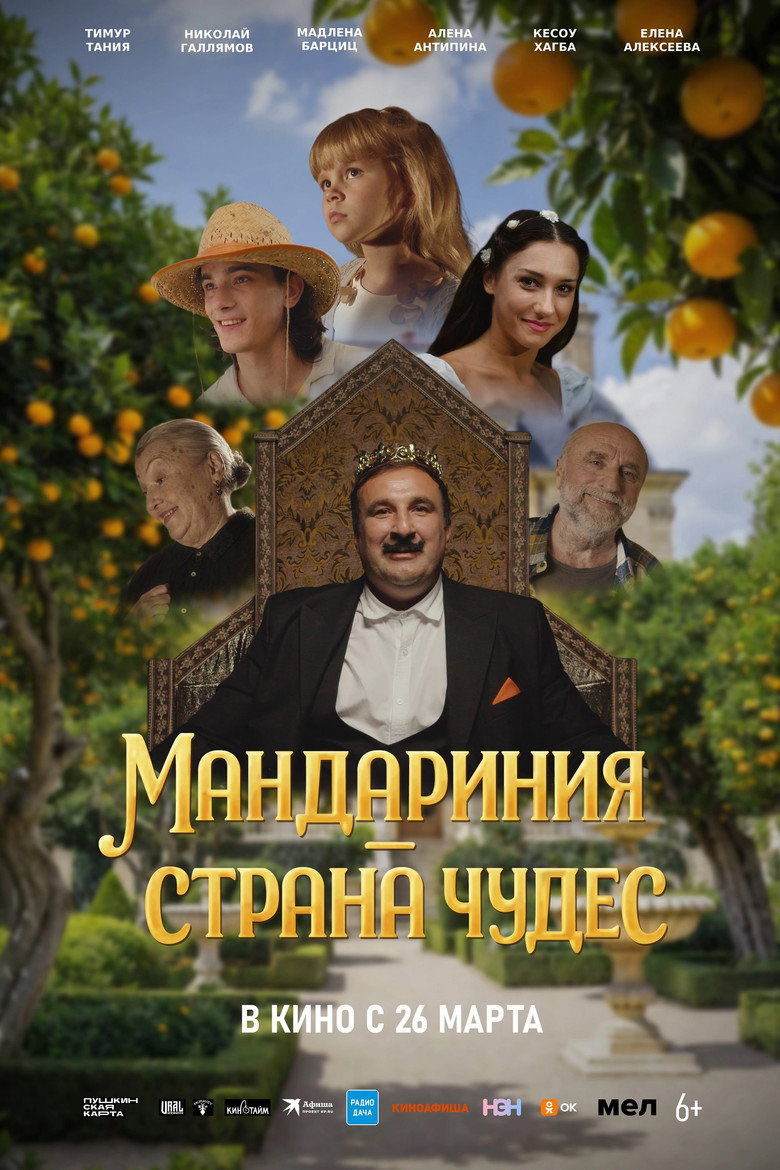 Мандариния – страна чудес poster background