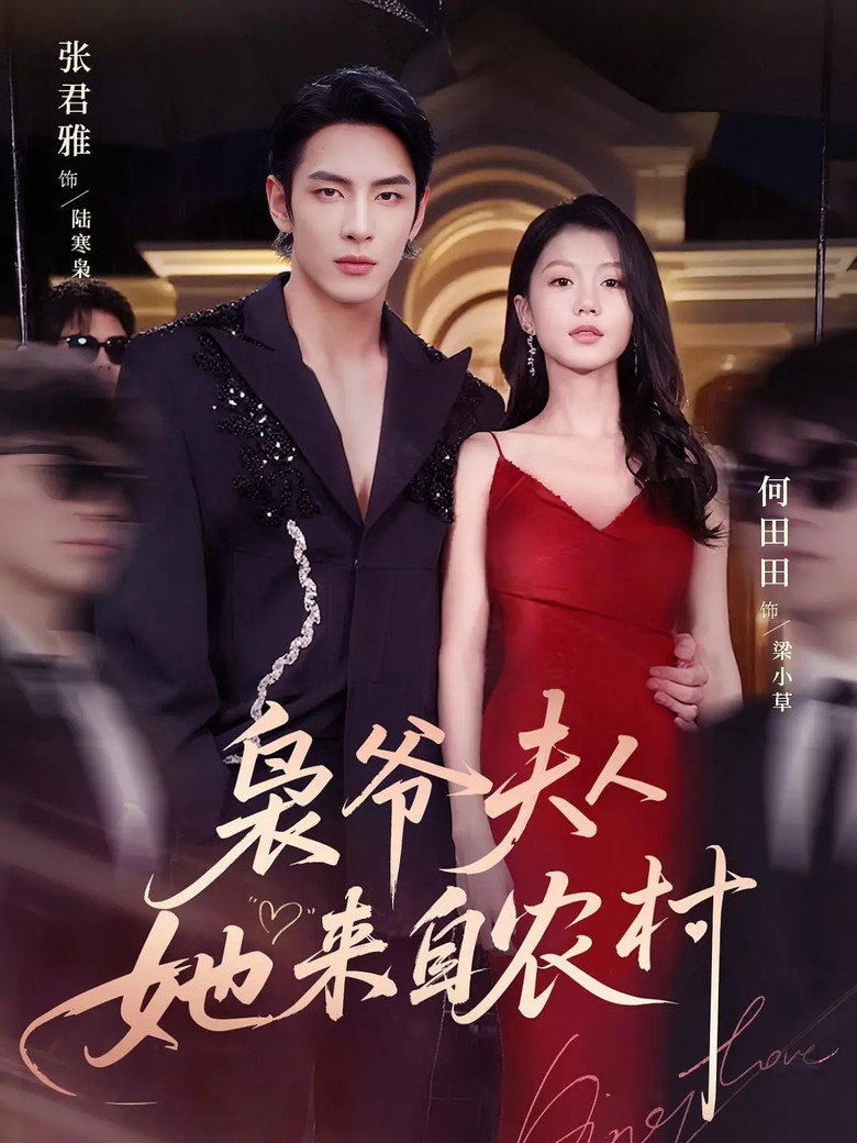 The Mafia Boss's Country Girl poster background