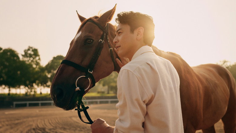 A thoroughbred mid-gallop, its muscles rippling under the sunlight, the camera low to the ground to emphasize speed and power.