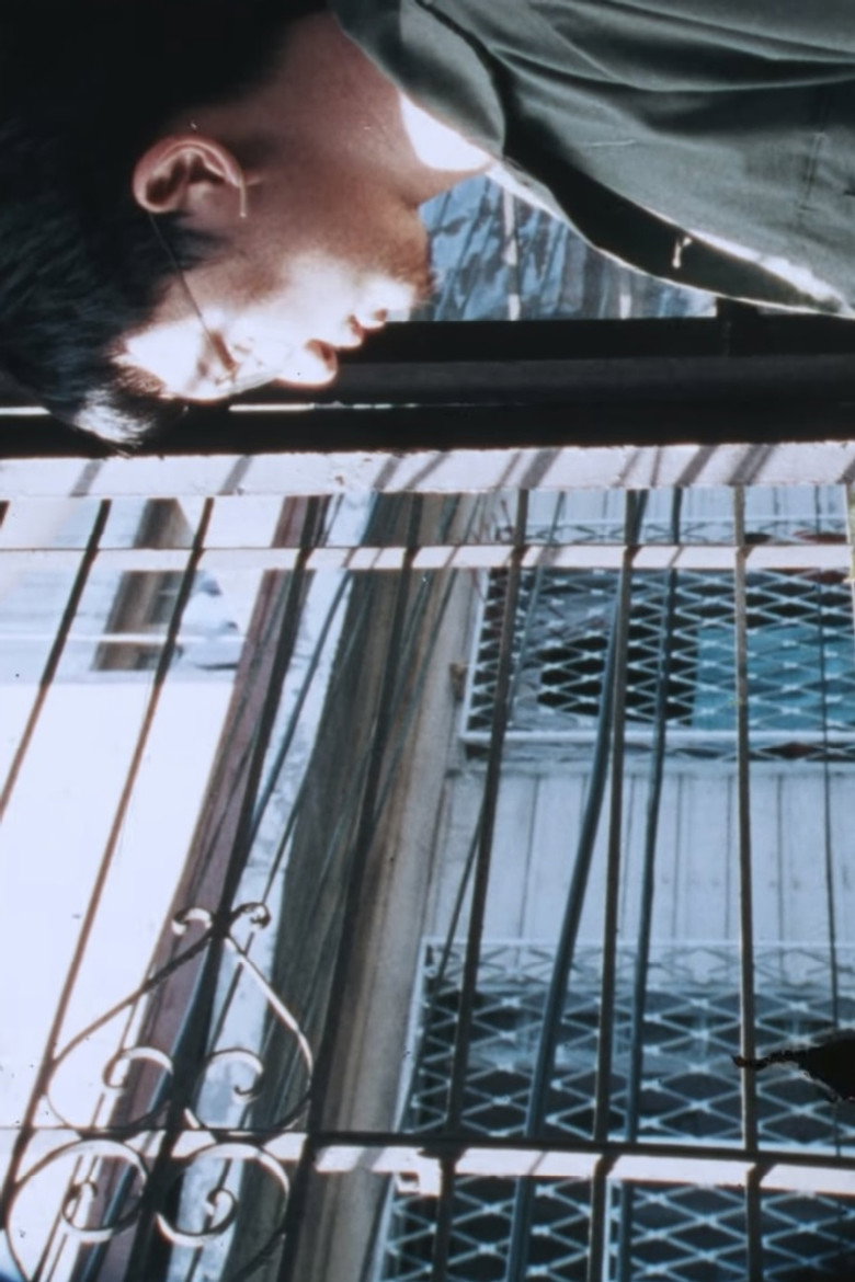 Chicken Soup 2 poster background