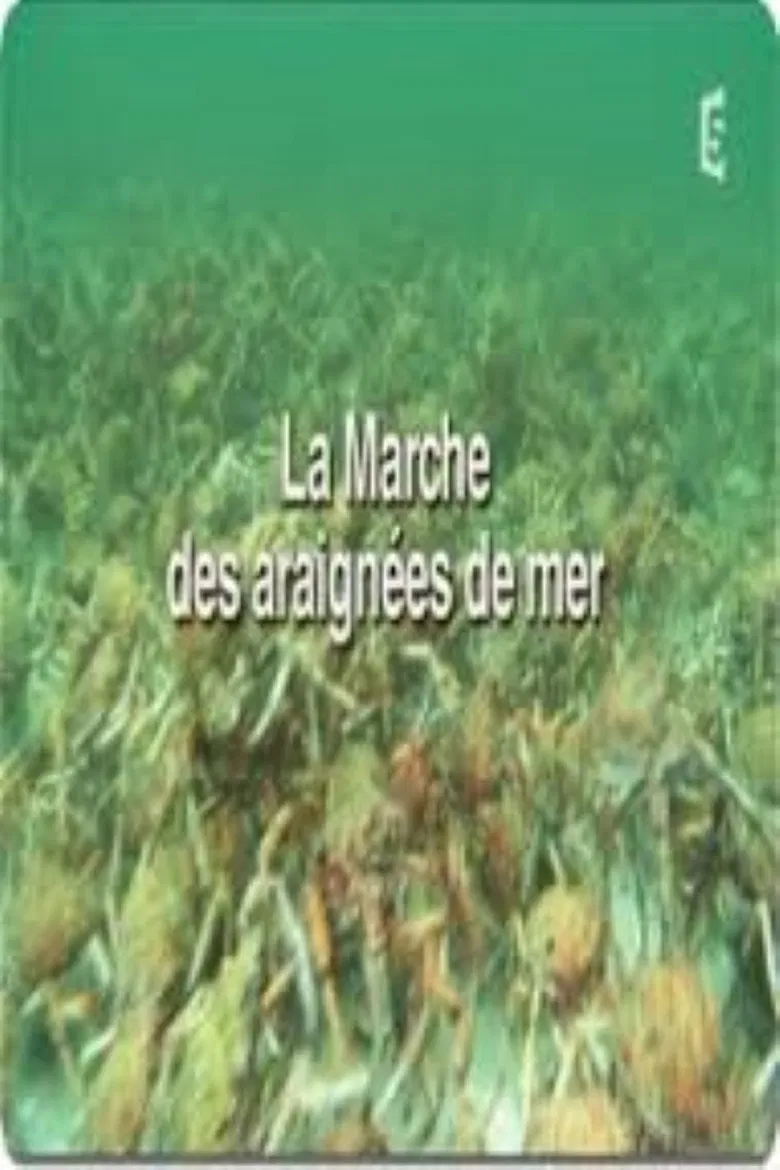 La marche des araignées de mer poster background