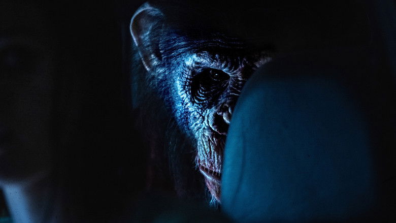 The Hawaiian cliffside house