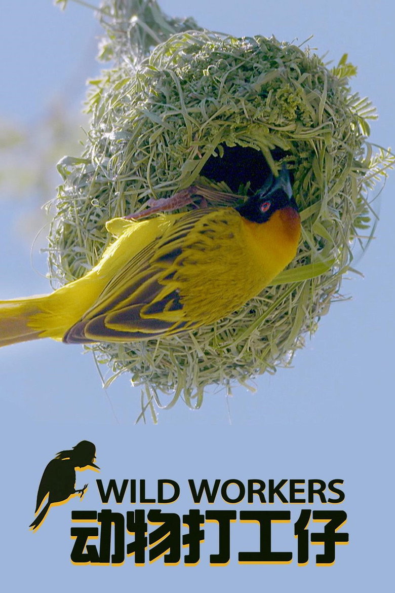 Wild Workers poster background