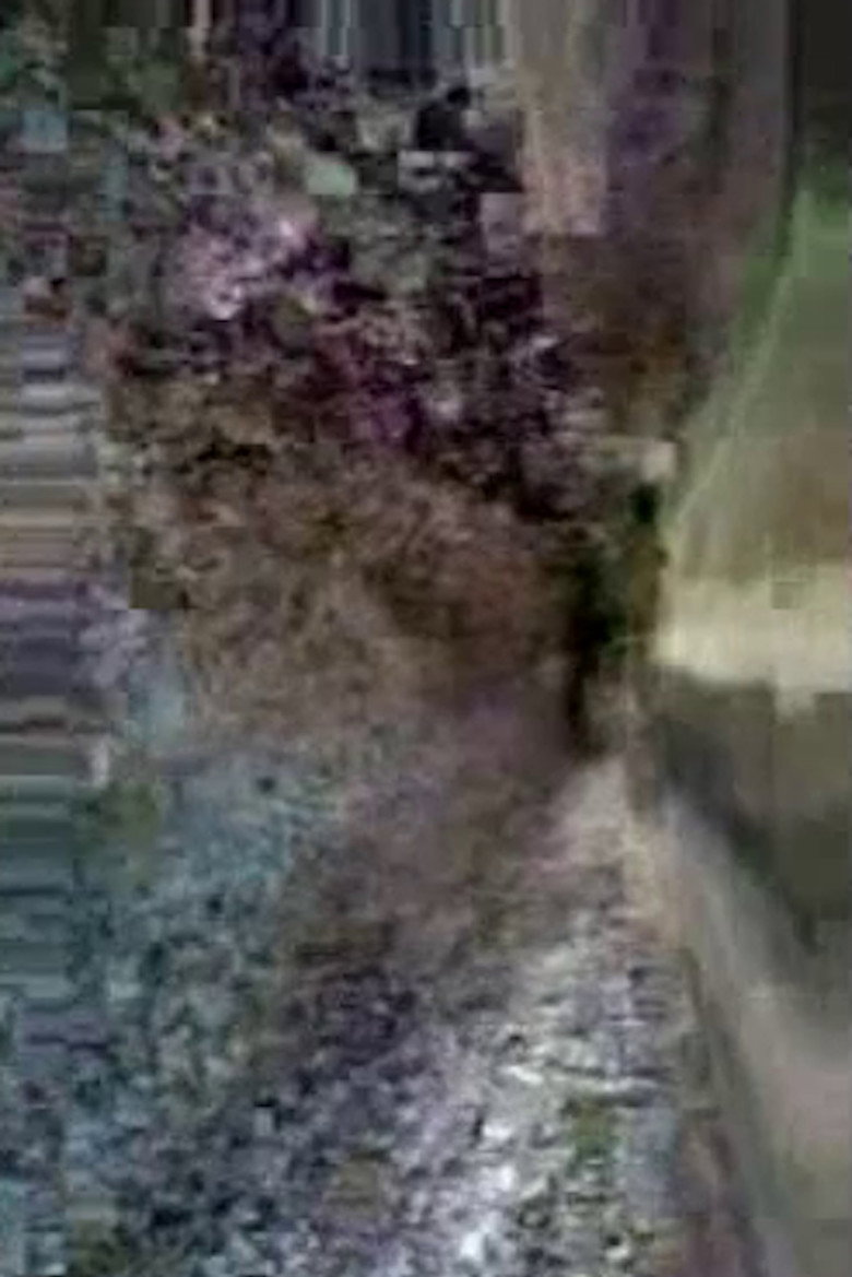 Preserving Cultural Traditions in a Period of Instability poster background