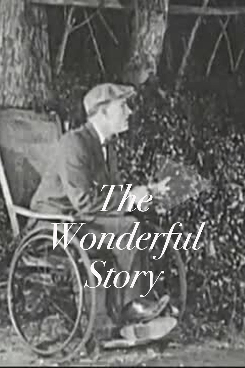 The Wonderful Story poster background