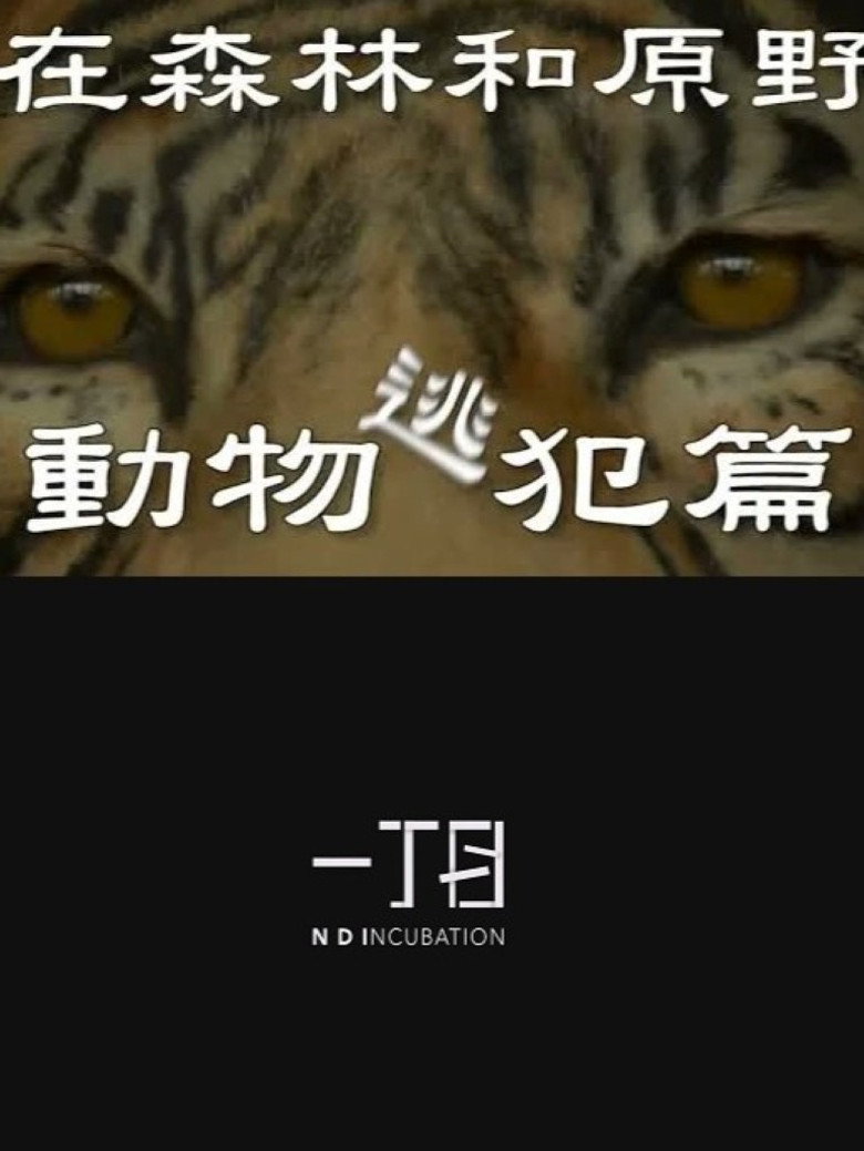 在森林和原野-動物逃犯篇 poster background