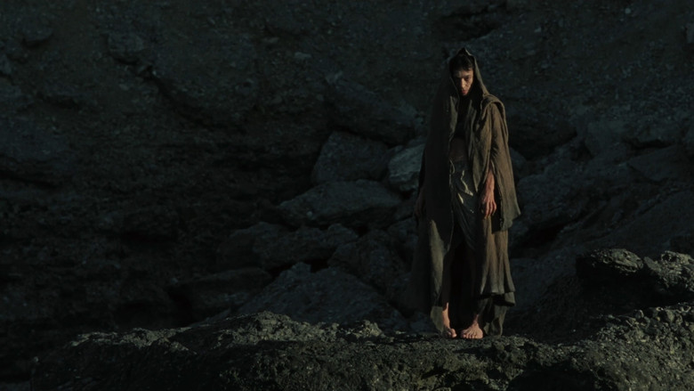 A tense encounter in the desert light