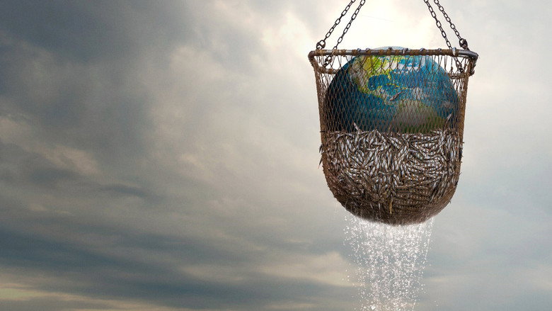 A vast fishing net stretches across the ocean, ensnaring fish and debris alike