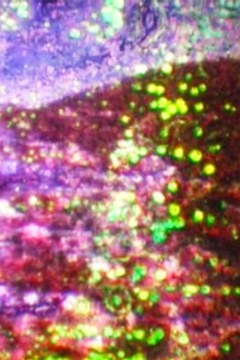 Optical Action poster background