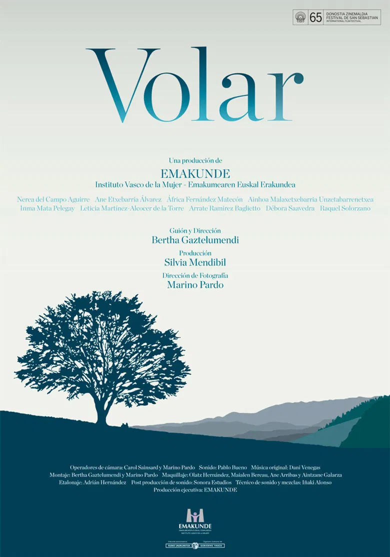 Volar poster background