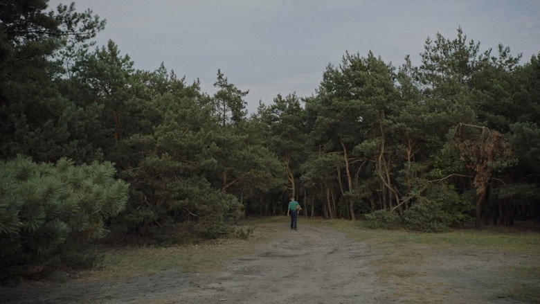 Three young women stand at the edge of a dense forest, the light filtering through the trees casting long shadows on their faces.