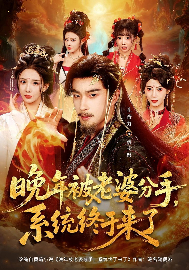 晚年被老婆分手，系统终于来了 poster background