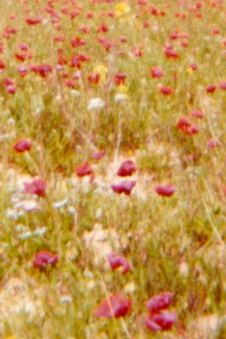 Contra o inverno poster background