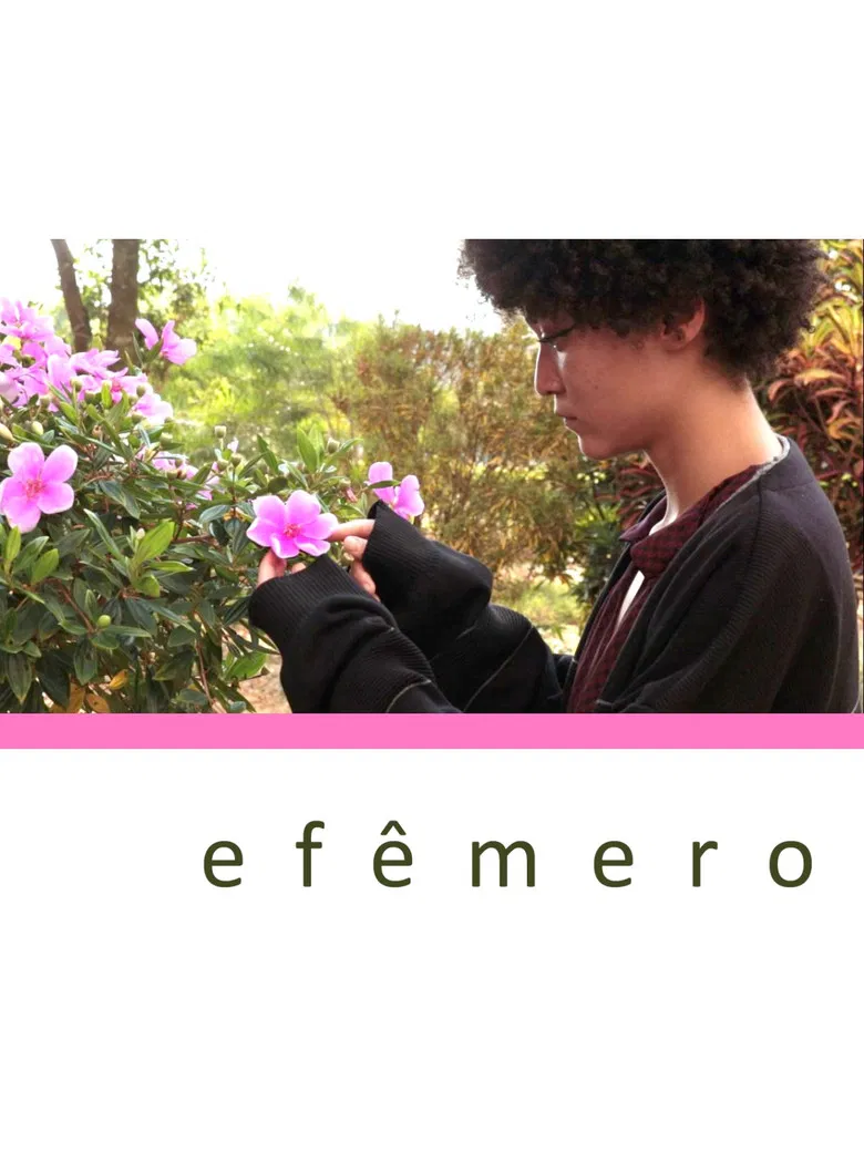 Efêmero poster background