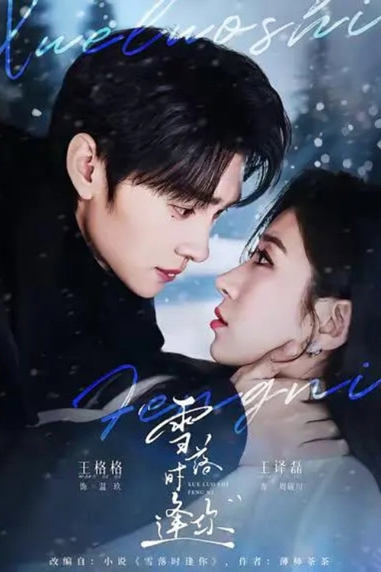雪落时逢你 poster background
