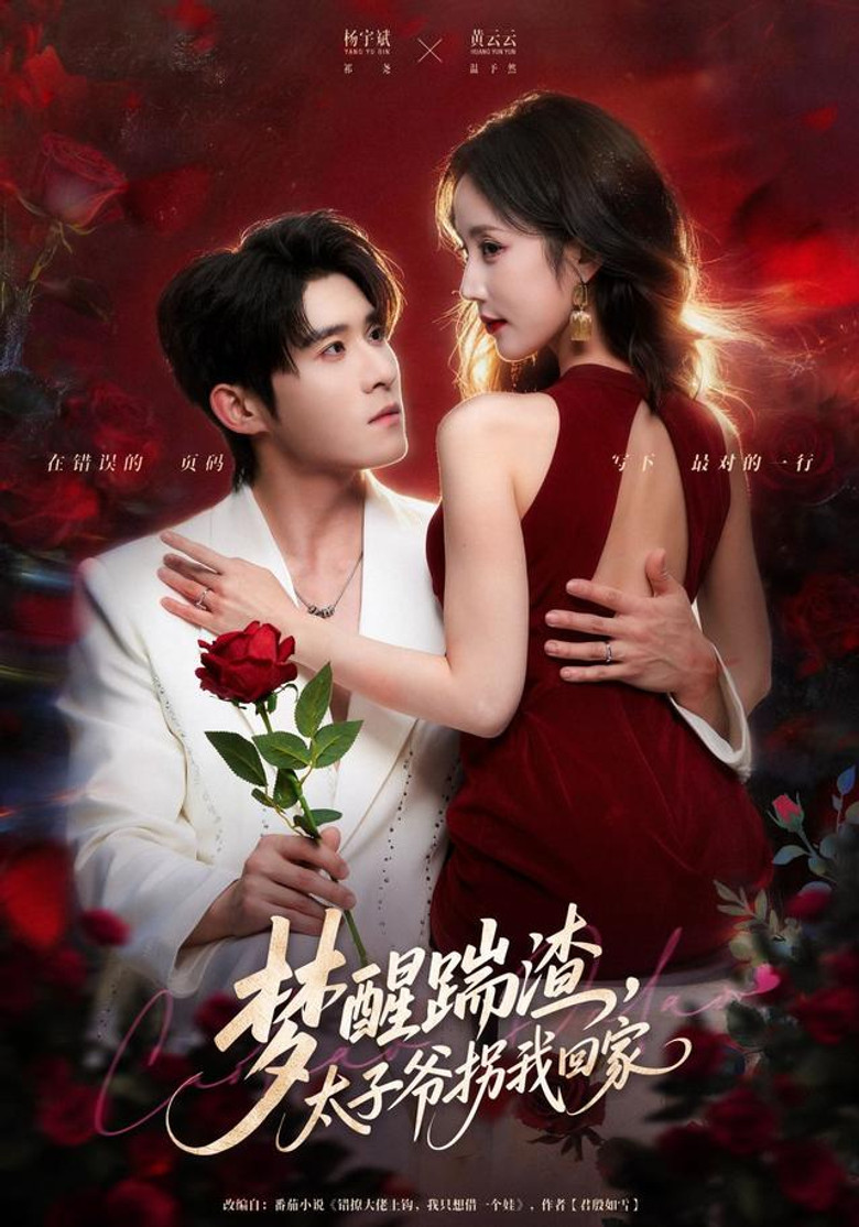 梦醒踹渣，太子爷拐我回家 poster background