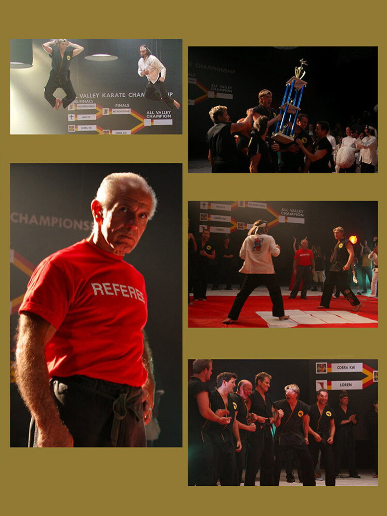 Sweep the Leg poster background