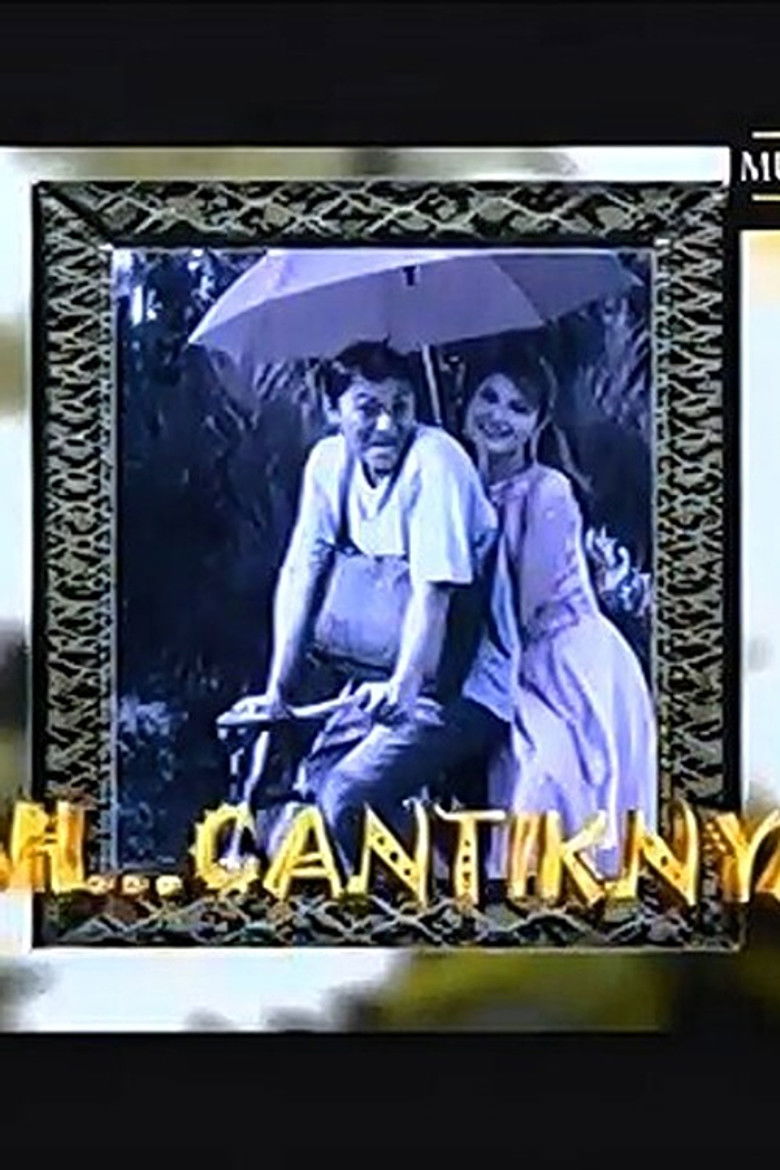 So Pretty poster background