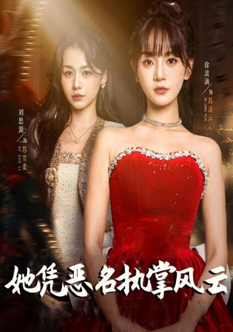 她凭恶名执掌风云 poster background