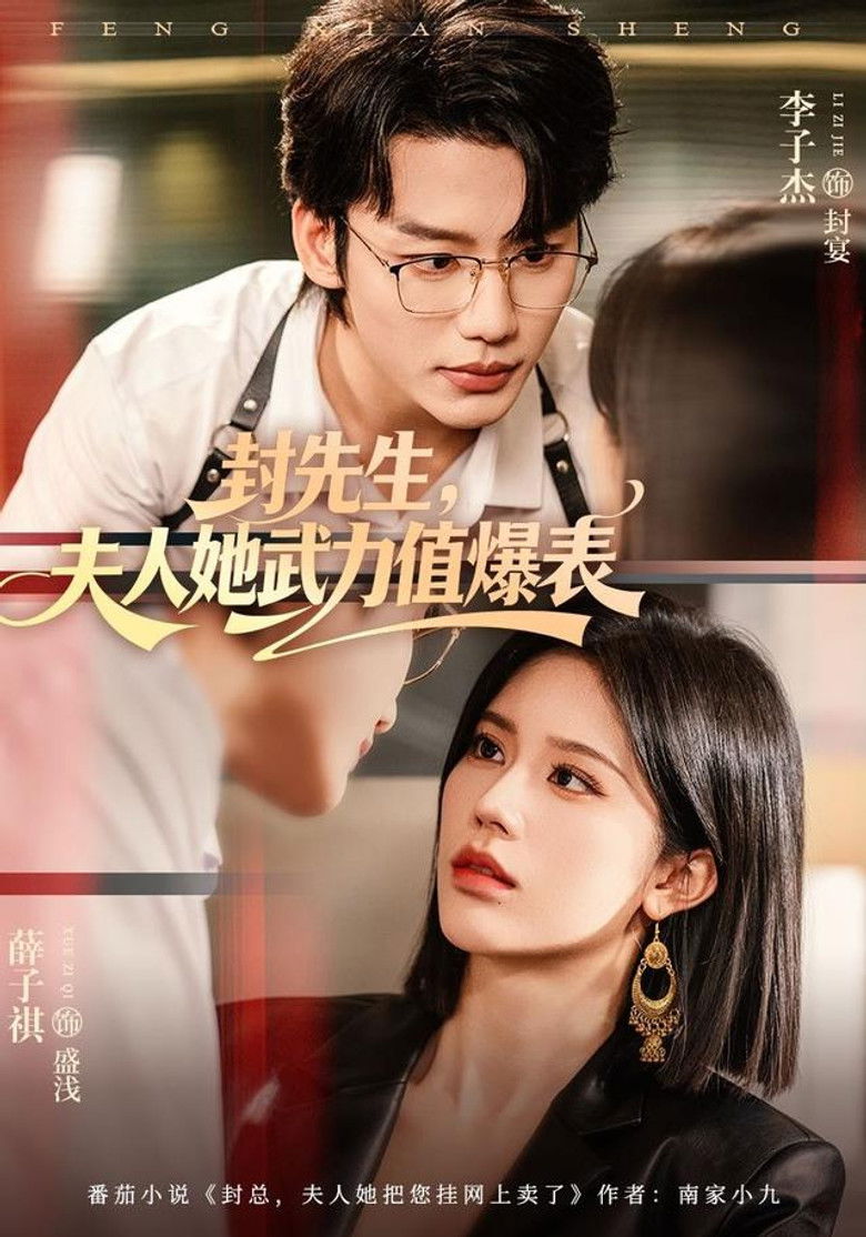 封先生，夫人她武力值爆表 poster background