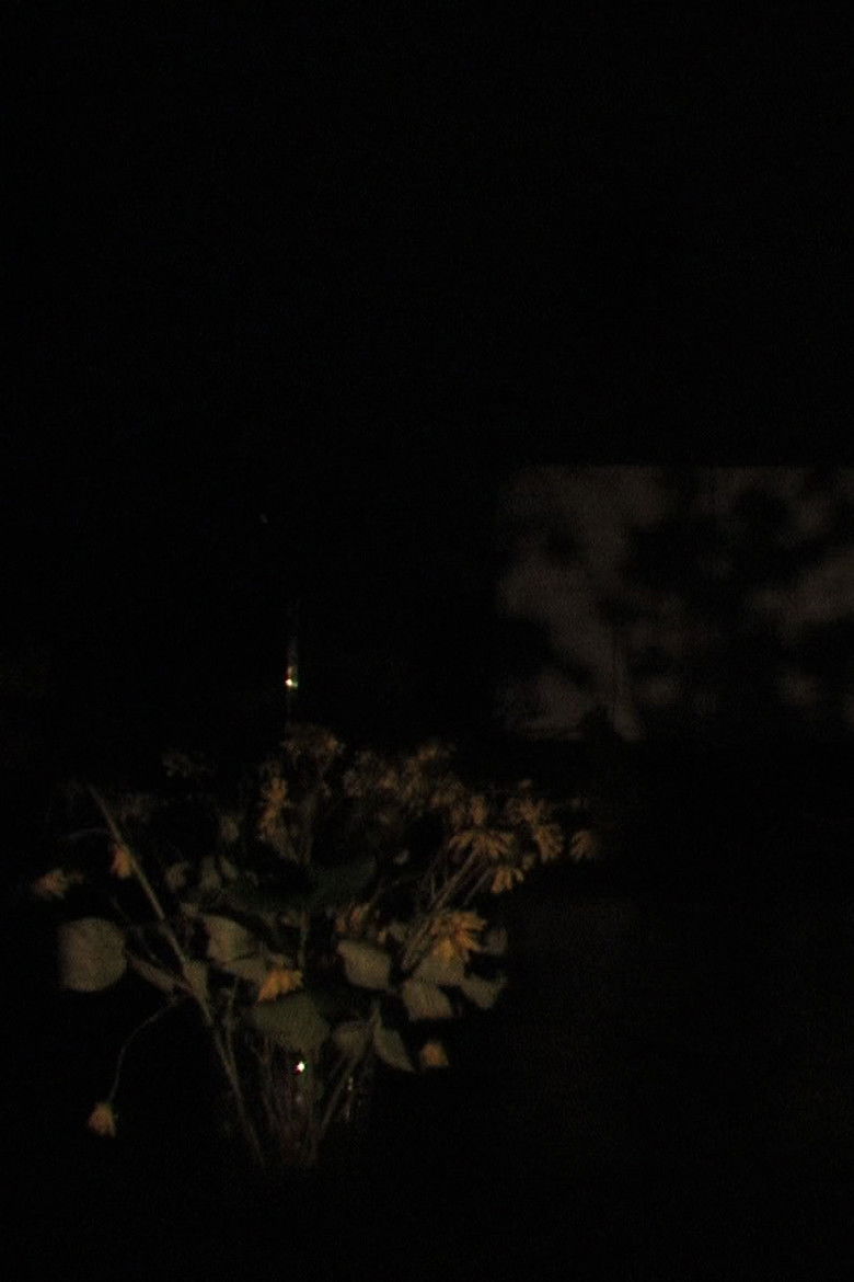 A Cold Compress poster background