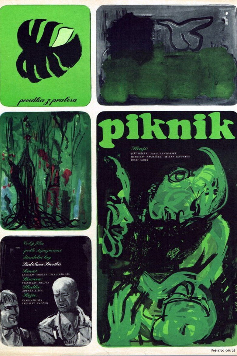 Piknik poster background