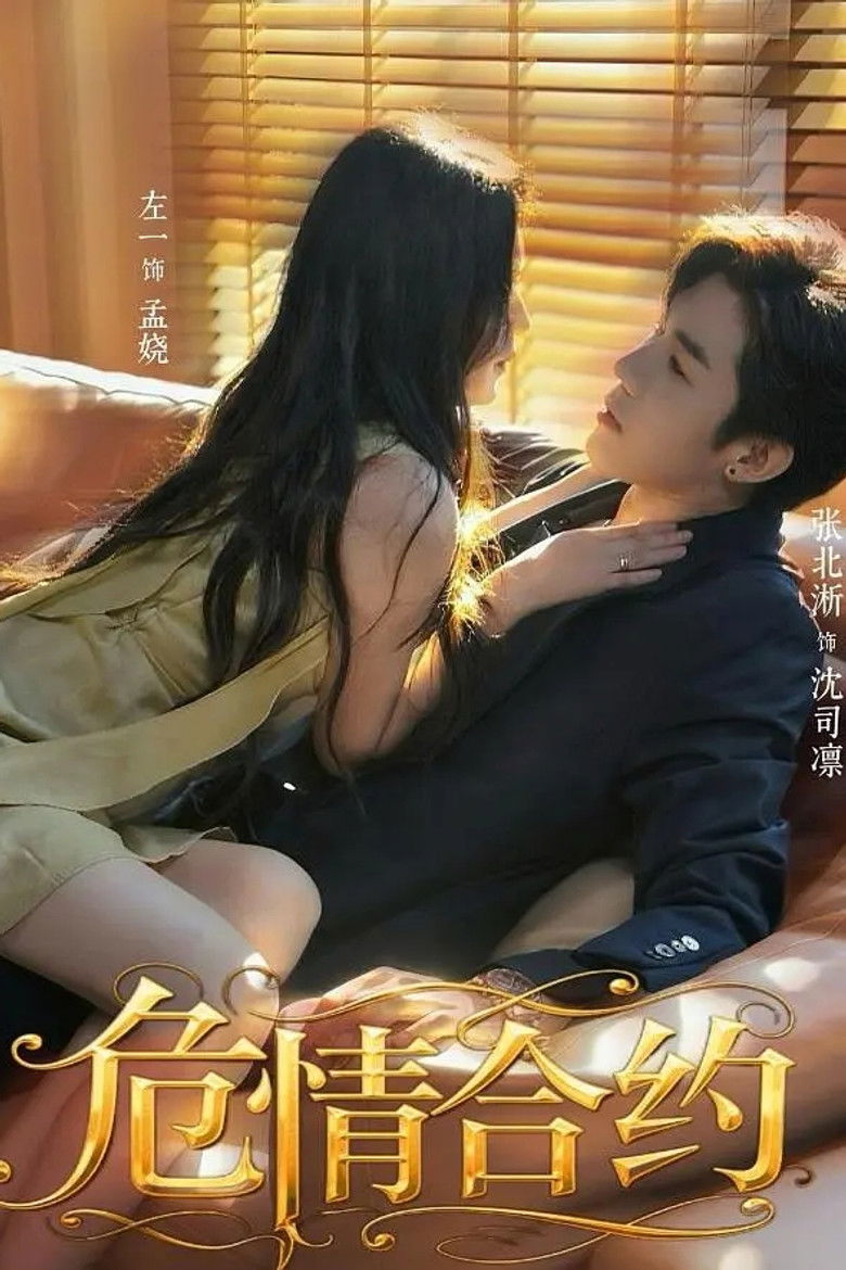 危情合约 poster background